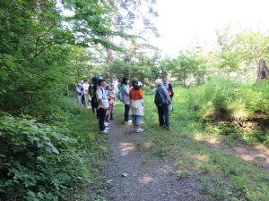 加瀬沼と多賀城史跡、そしてチョウトンボ_e0148077_1113243.jpg