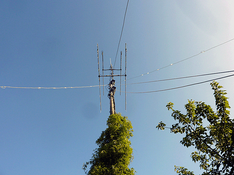 a0238278_14094622.gif