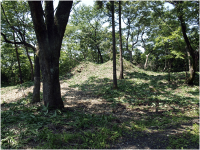 夏草や兵どもが夢の跡_c0145183_5332595.jpg