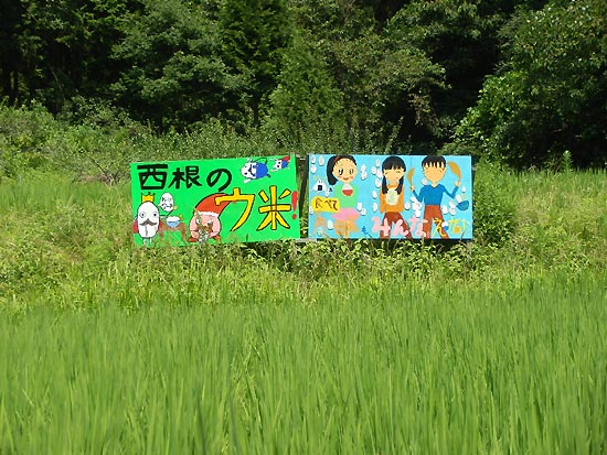 7月31日の田んぼ(月光原小・西根小)_d0247484_16321735.jpg