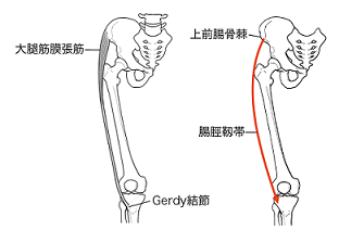 a0099285_12224119.png