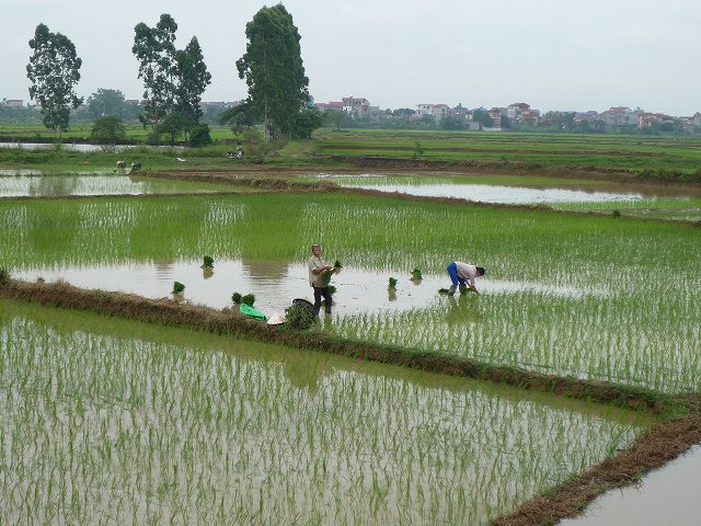 b0287088_20445414.jpg