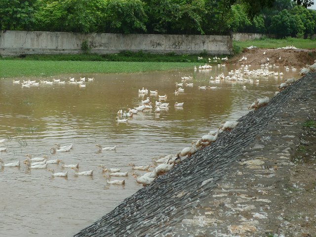 b0287088_2048396.jpg