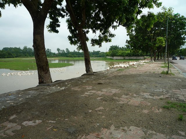 b0287088_2048529.jpg