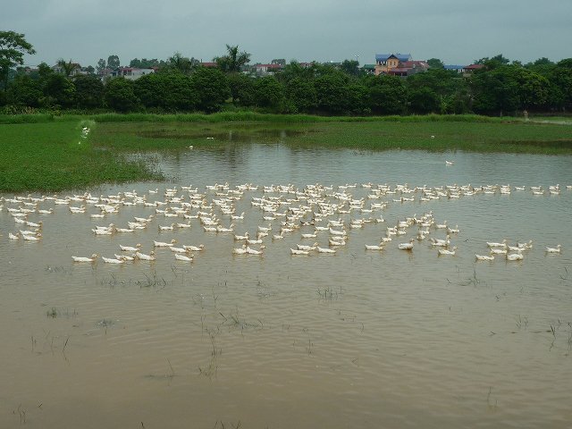 b0287088_20503997.jpg