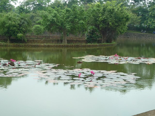 b0287088_21212341.jpg