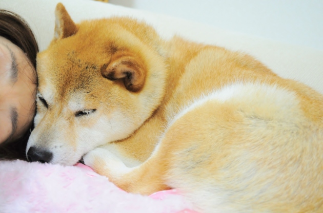 ぬくもり_a0126590_09111211.jpg