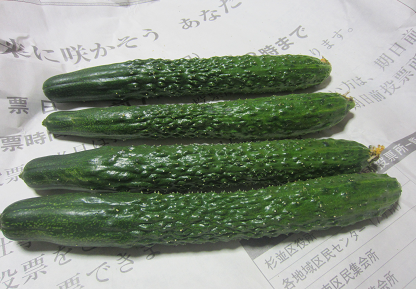 f0234590_10142340.png