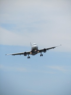b0209691_71421.jpg