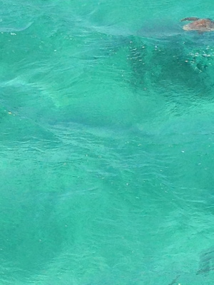 a0009196_11405854.jpg
