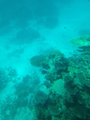 a0009196_11531927.jpg