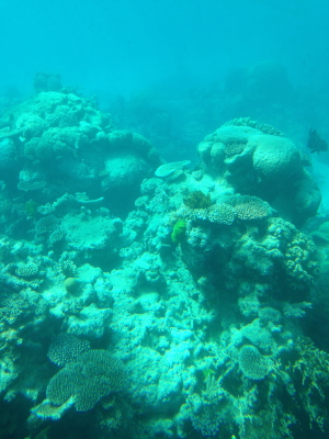 a0009196_1154817.jpg
