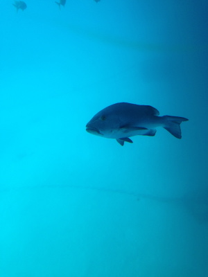 a0009196_11571569.jpg