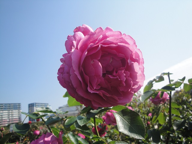 f0346196_07585447.jpg