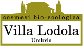 b0086098_225592.png