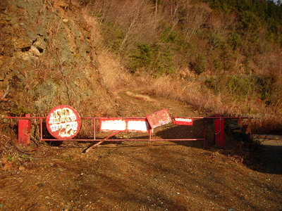 椿山林道(仁淀川町)_f0308898_12261161.jpg