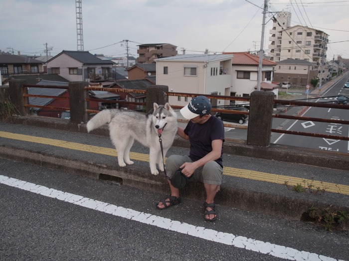 まったり短め散歩な時もあるよね(*^_^*)_c0049299_2243104.jpg