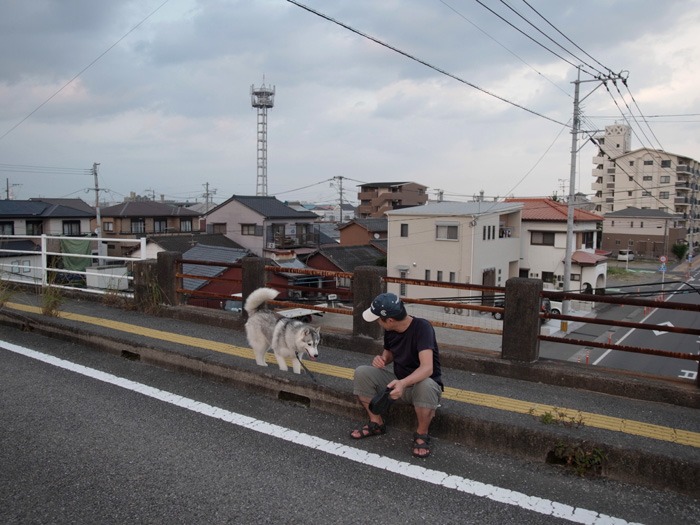 まったり短め散歩な時もあるよね(*^_^*)_c0049299_22431486.jpg