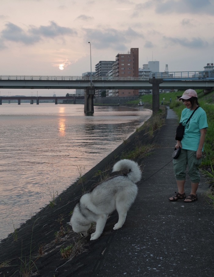 まったり短め散歩な時もあるよね(*^_^*)_c0049299_22432888.jpg