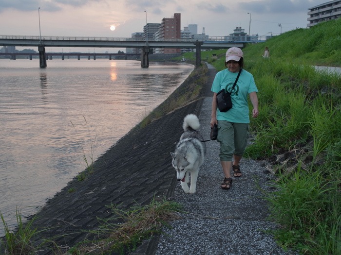 まったり短め散歩な時もあるよね(*^_^*)_c0049299_22433445.jpg