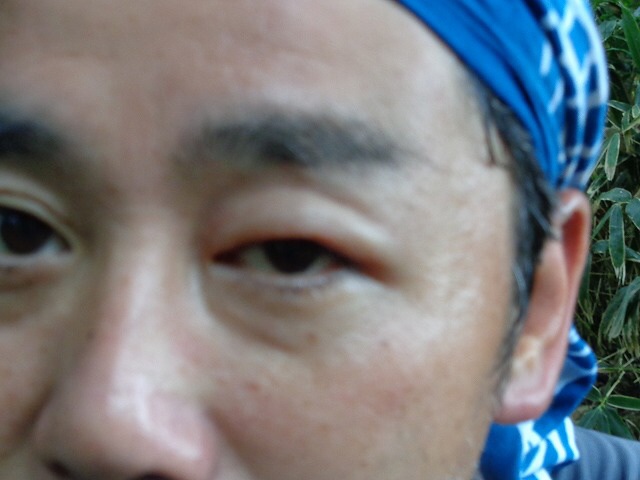 b0326303_00365501.jpg