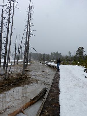 Yellowstone National Park -PartⅡ-_a0310405_08460068.jpg