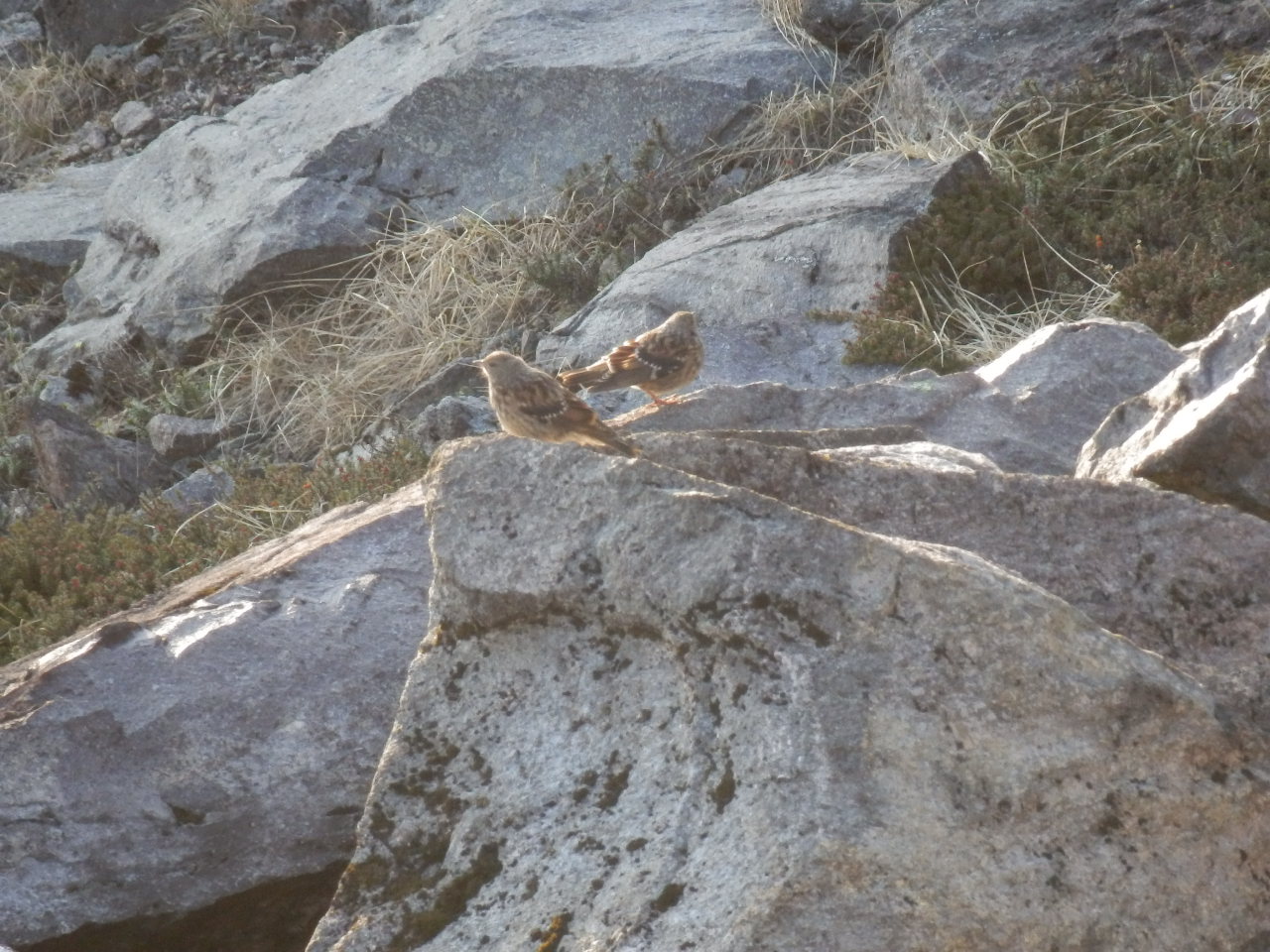 f0219710_13441054.jpg