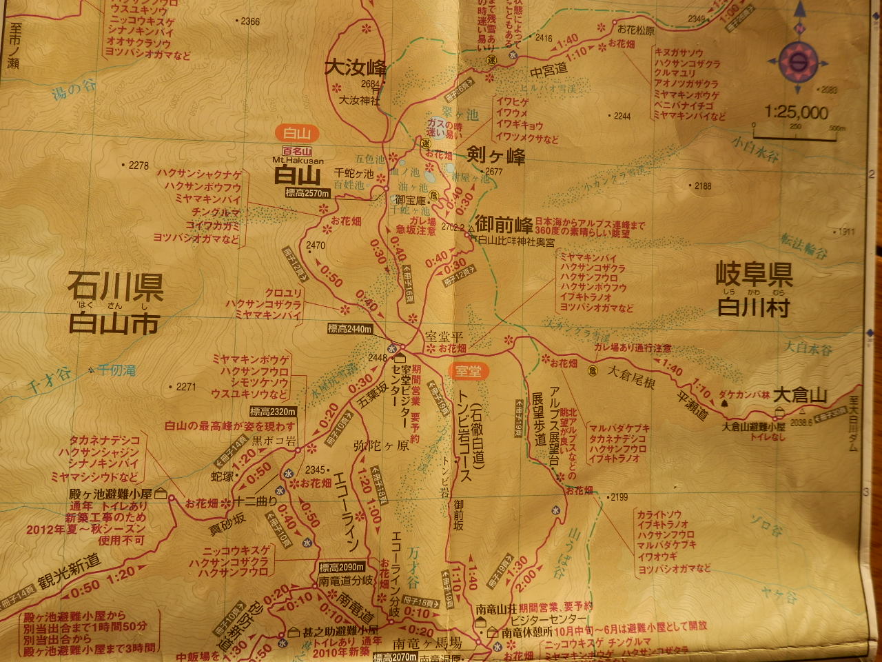 f0219710_1483917.jpg