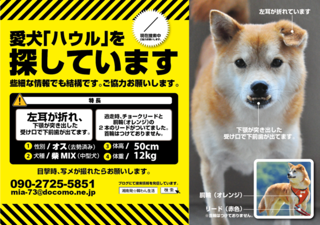 迷子犬ハウルを探しています。_e0005411_9301710.png