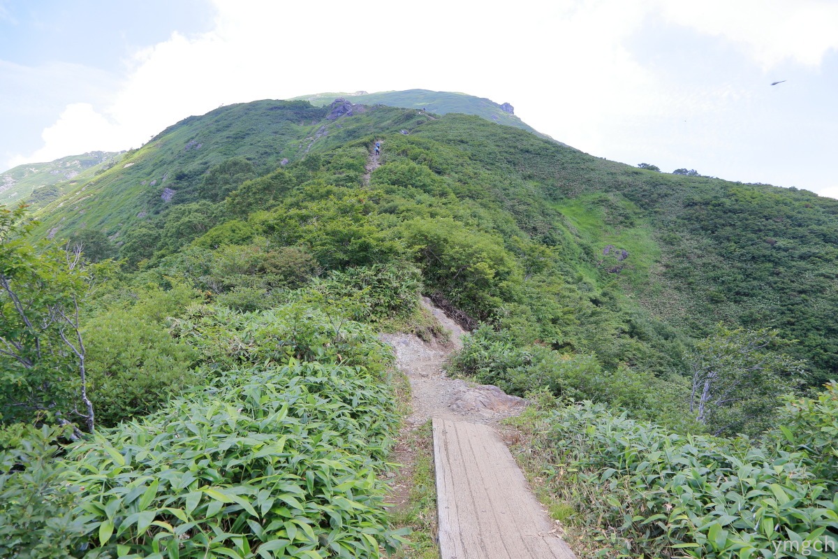 夏の谷川岳（２）_f0157812_8132764.jpg