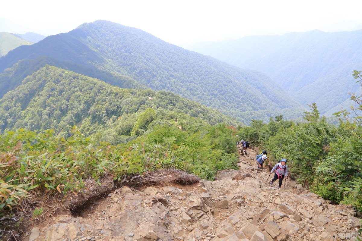 夏の谷川岳（２）_f0157812_813475.jpg