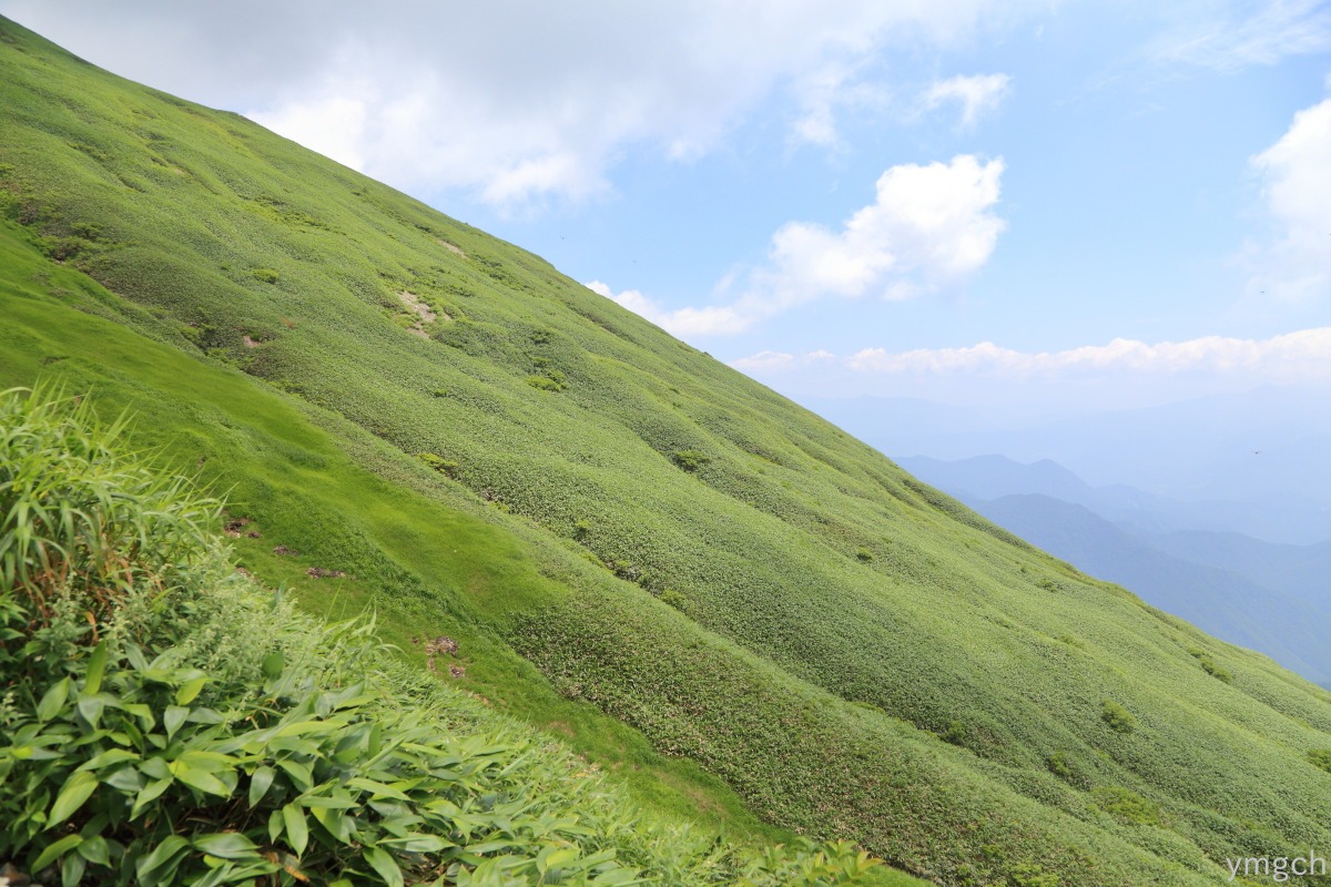 夏の谷川岳（２）_f0157812_8141984.jpg