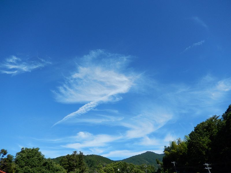 f0182513_2128272.jpg