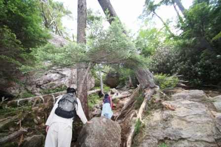 瑞牆山はミラクルな山でした_c0125114_1773913.jpg