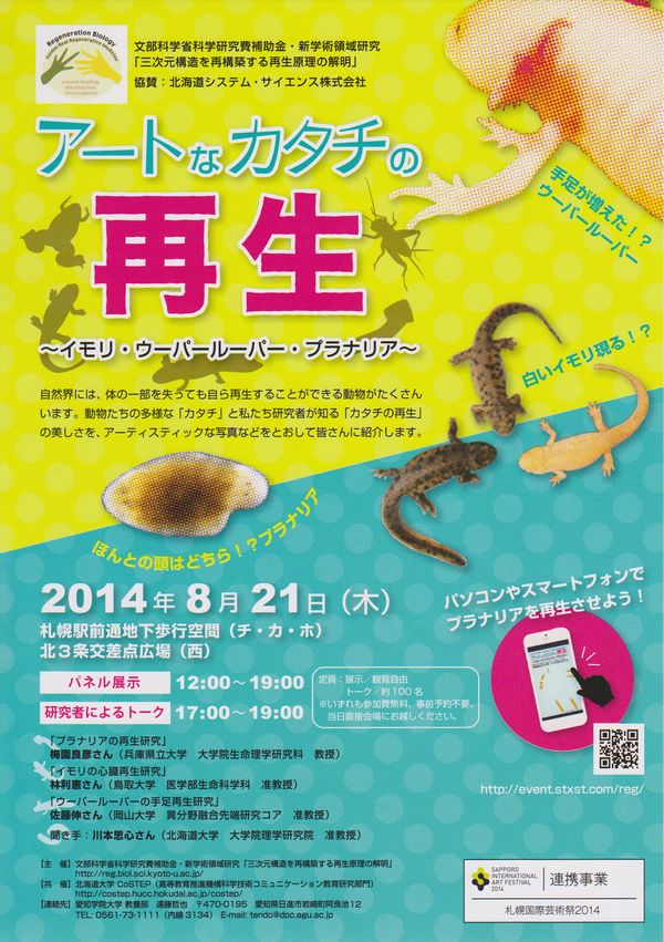 煙る夕暮れ 札幌芸術祭に科学が乱入のニュース_c0025115_18491788.jpg