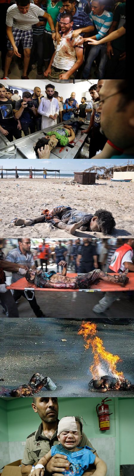ガザ虐殺に思うこと - イスラエルの戦争の方法、目的、意味_c0315619_17163264.jpg