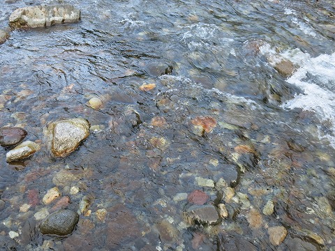 d0227723_06333591.jpg