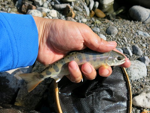 d0227723_06335051.jpg
