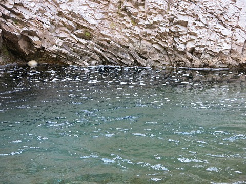d0227723_06335535.jpg