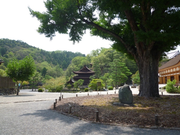 d0314924_13333818.jpg