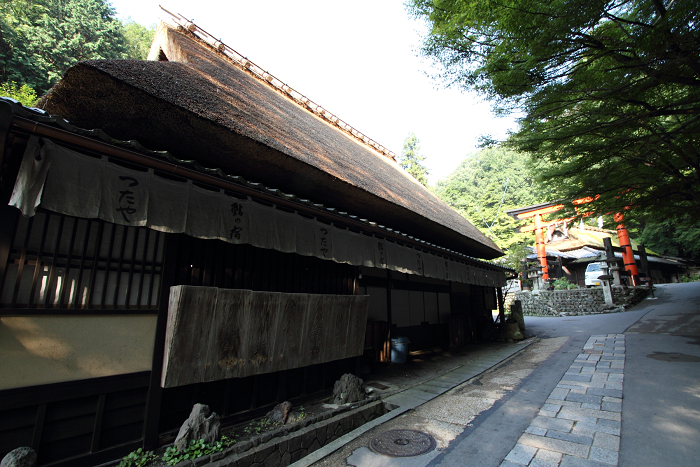 嵯峨野・晩夏 －愛宕街道－_b0169330_23143970.jpg