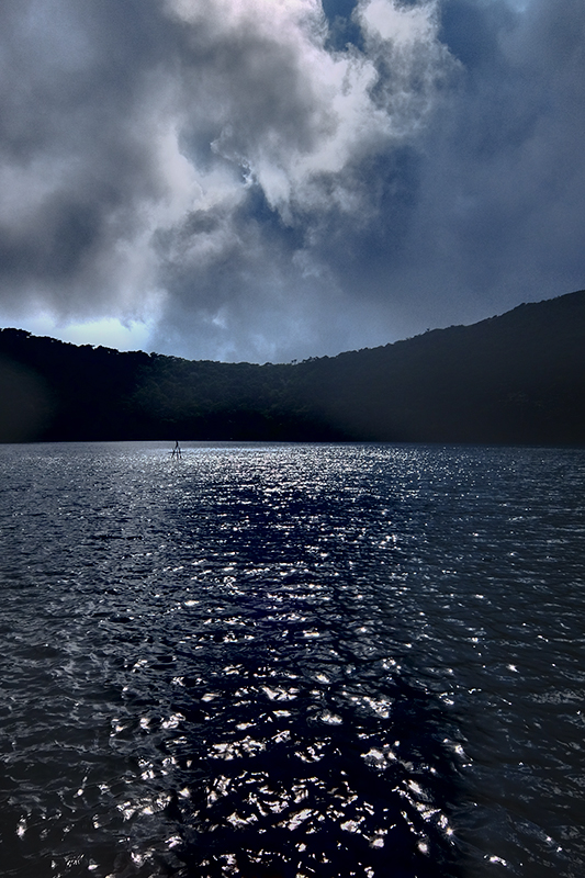d0004832_21354328.jpg