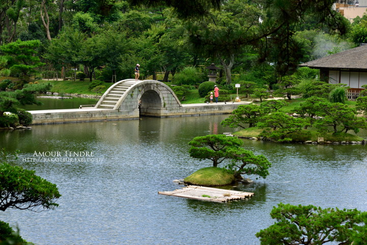 夏の広島　縮景園（二）_c0250634_910484.jpg