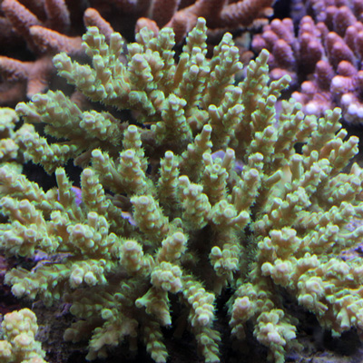 d0221436_22501951.jpg