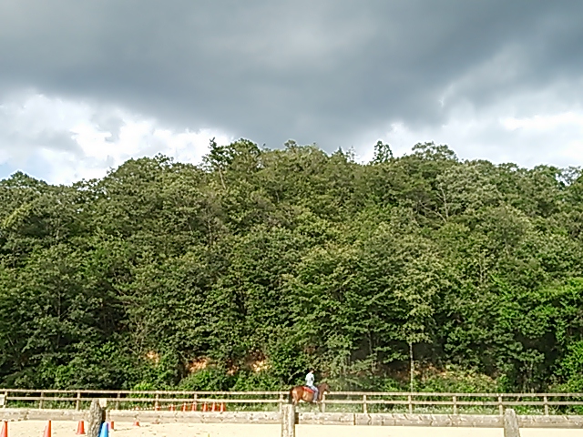e0145441_5591117.jpg
