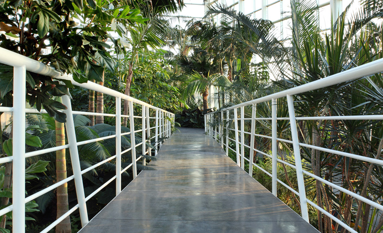 d0262144_8285722.jpg