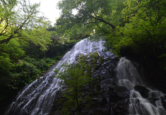 c0093046_7502526.jpg