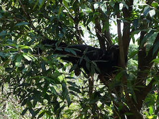 e0138350_21403977.jpg