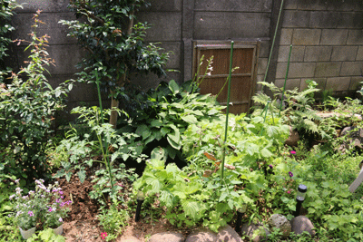 e0010353_233861.gif