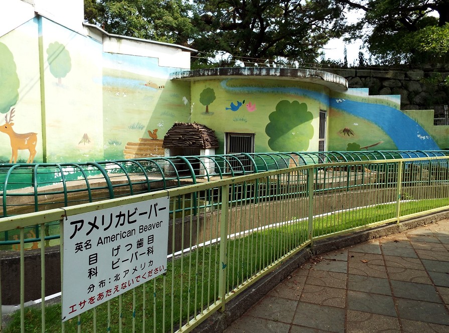 　　和歌山公園動物園_b0093754_18584145.jpg